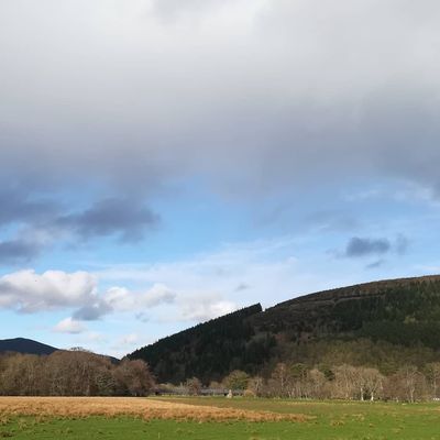 #caddonbank #traquair #tweed #bridge