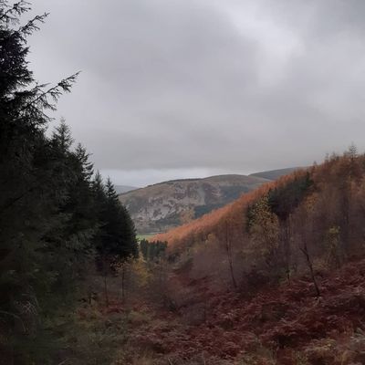 Oh wild West Wind, thou breath of Autumn's being...