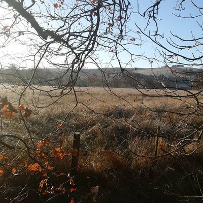#tweed #frost #innerleithen