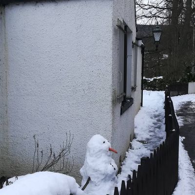 Yesterday's snowman seems to be suffering from weltschmertz today